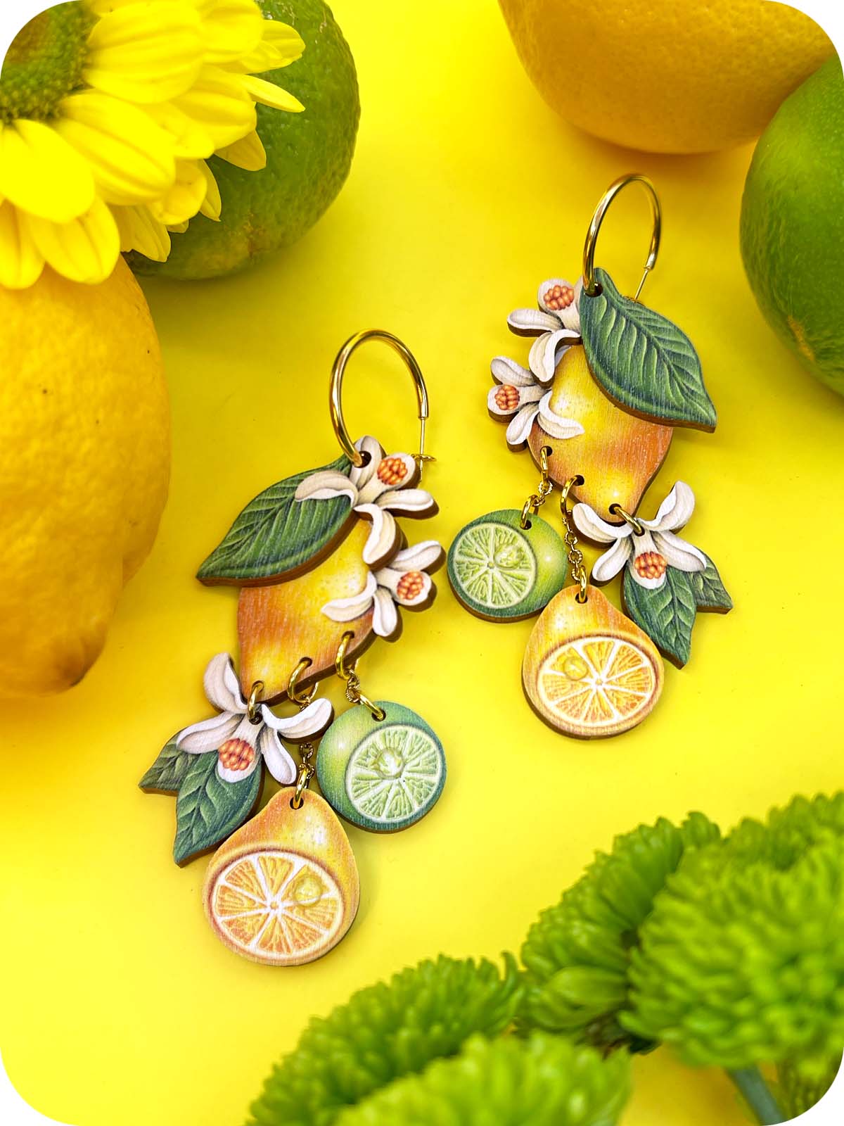 Sitrus-moniosainen korvakoru, koukku